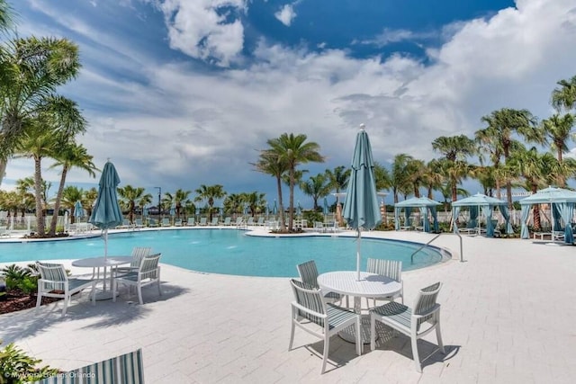 view of pool featuring a patio area