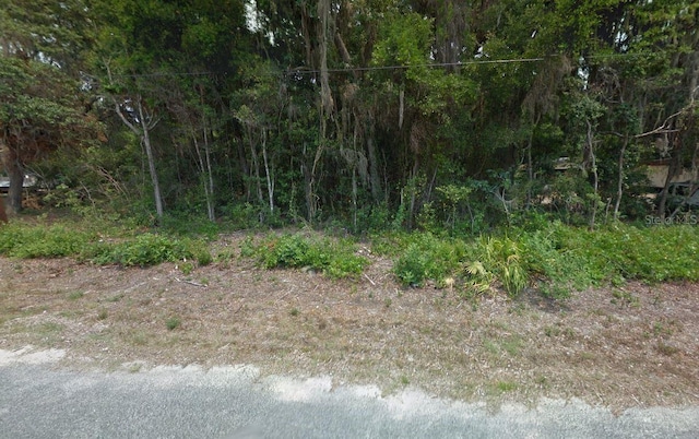 Address Not Disclosed, Floral City FL, 34436 land for sale