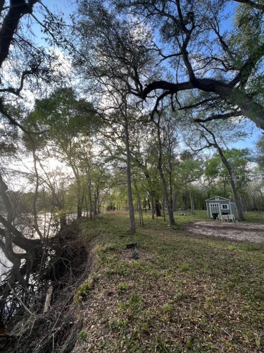 1263 NW 82nd Ter, Bell, FL 32619 - photo 1