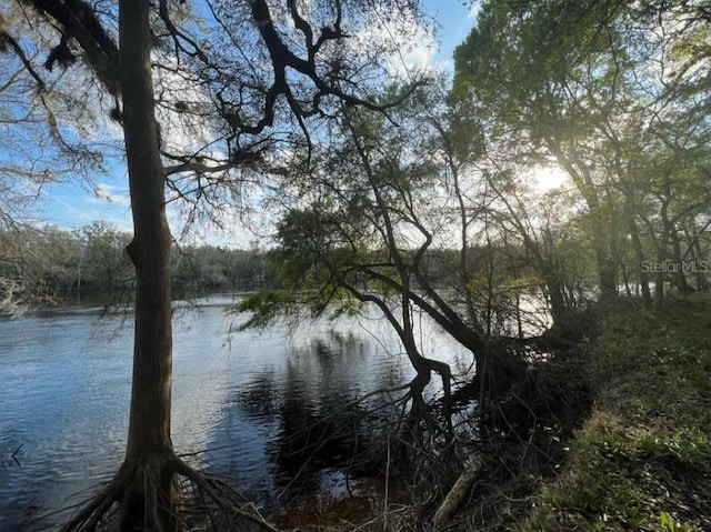 1263 NW 82nd Ter, Bell, FL 32619 - photo 2