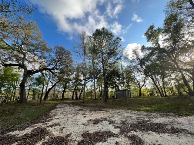 1263 NW 82nd Ter, Bell, FL 32619 - photo 6