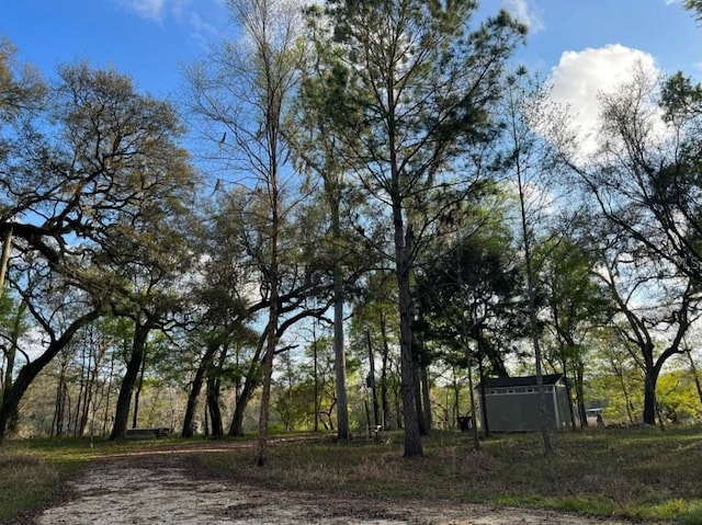 1263 NW 82nd Ter, Bell, FL 32619 - photo 7