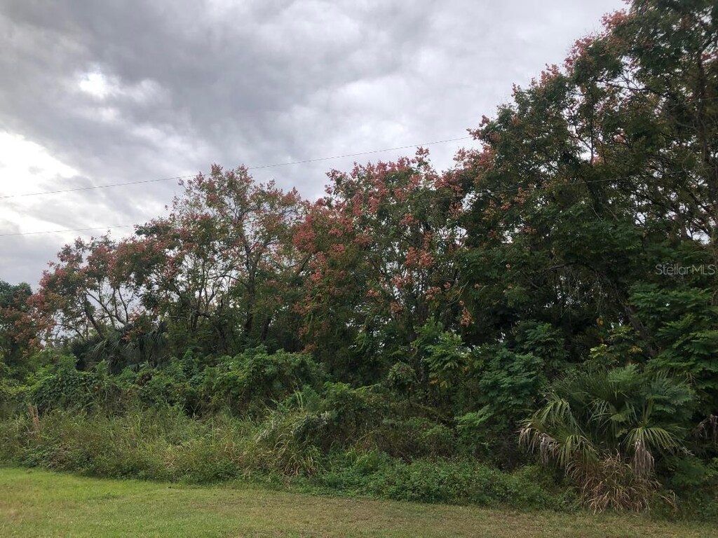 Virginia Dr, Altamonte Springs, FL 32714 - photo 1