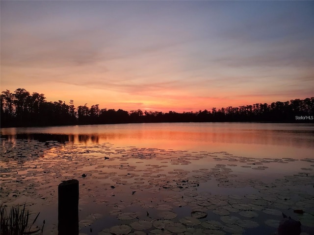 water view