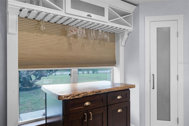 interior space featuring a wealth of natural light and dark brown cabinetry