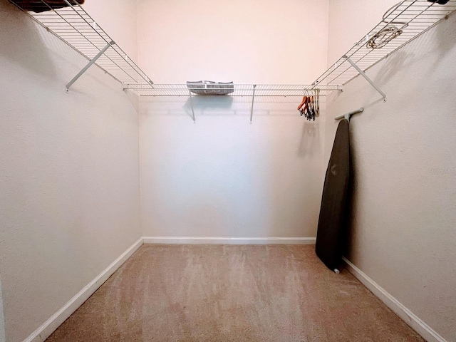 spacious closet with carpet flooring