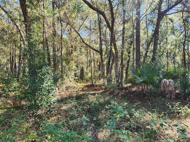 Listing photo 3 for Markham Woods Rd, Longwood FL 32779