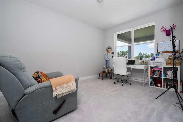 home office with light colored carpet