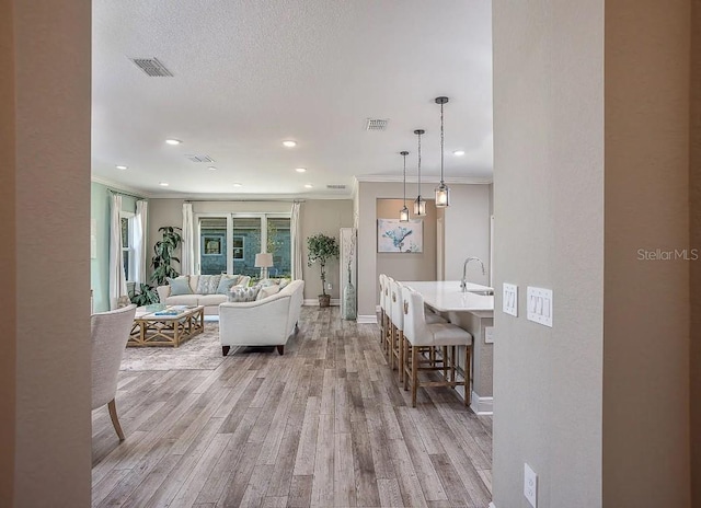 living room featuring ornamental molding, sink, a textured ceiling, and light wood-type flooring