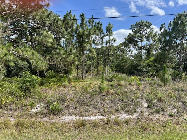 000 Oberly Pkwy, Orlando FL, 32833 land for sale