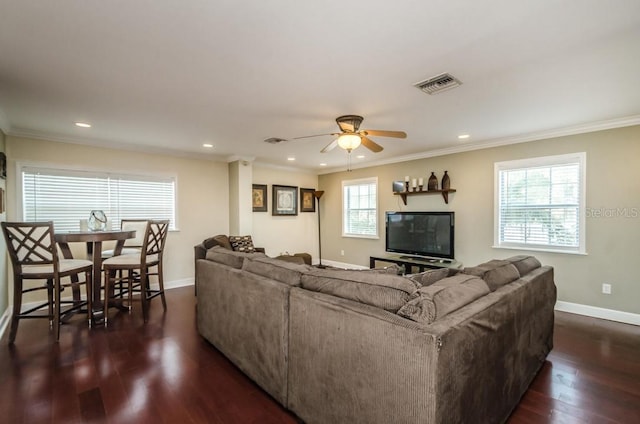 living room featuring a healthy amount of sunlight, ceiling fan, dark wood-type flooring, and crown molding