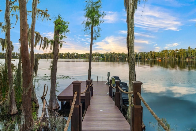 view of dock featuring a water view