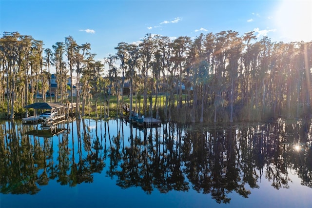 water view with a dock