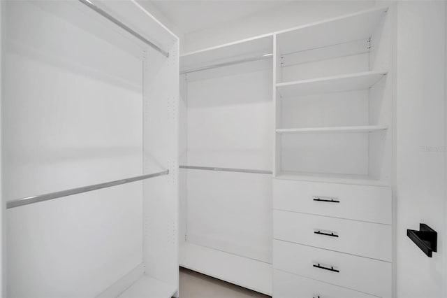 view of walk in closet