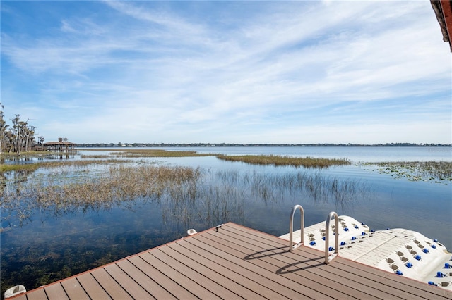 dock area with a water view