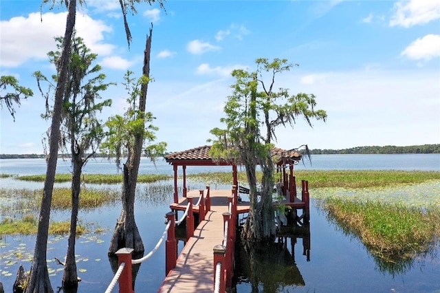 dock area featuring a water view