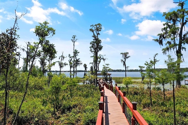 dock area featuring a water view