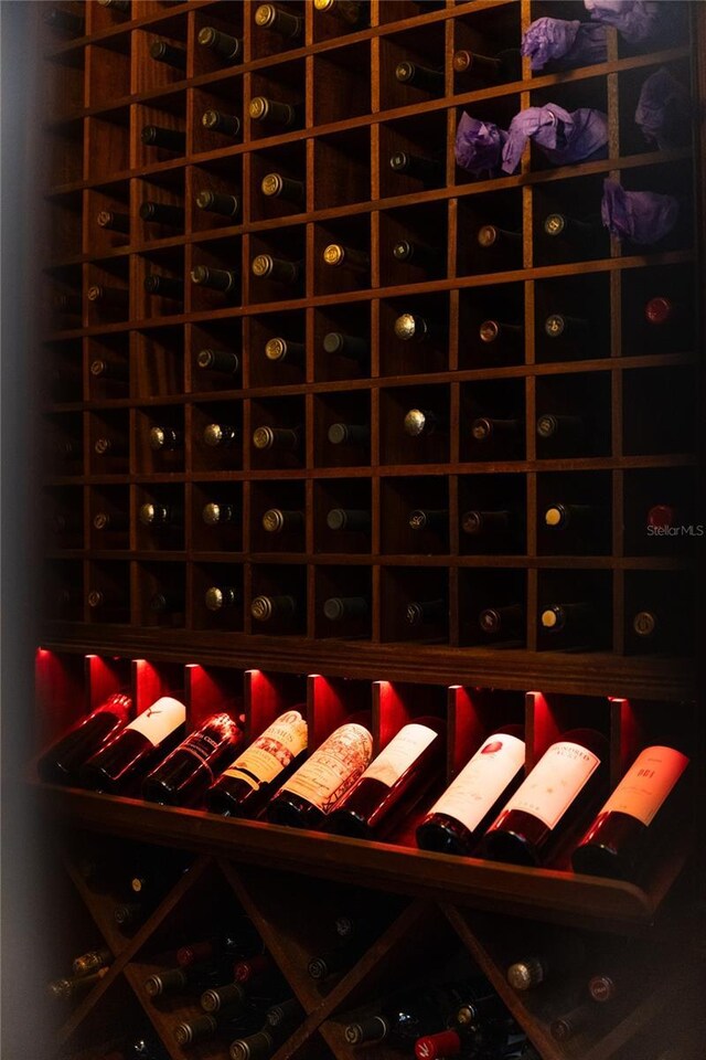 view of wine cellar