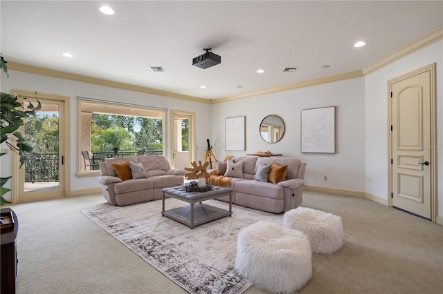 carpeted living room with ornamental molding and a textured ceiling