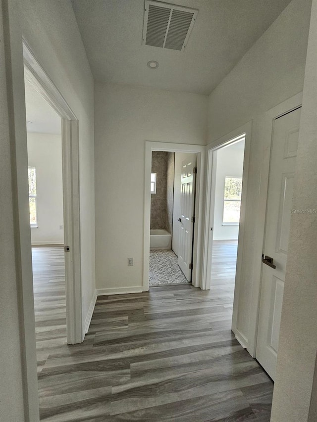 7539 Bernal Dr, Sebring, FL 33872 - corridor featuring wood finished floors and baseboards