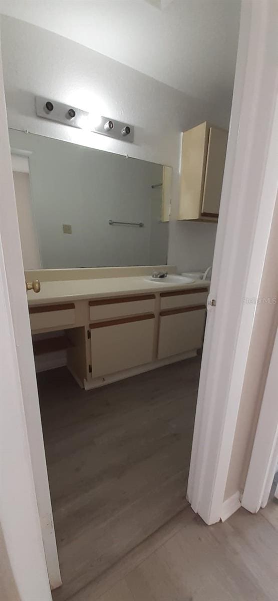 bathroom with vanity and wood-type flooring