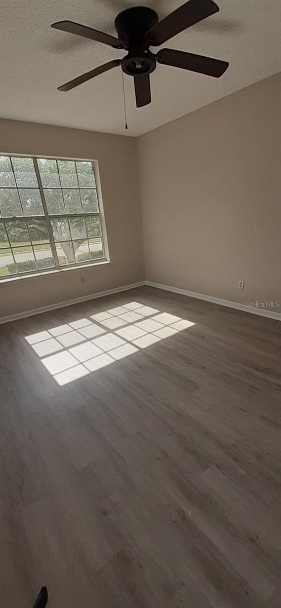 empty room featuring hardwood / wood-style floors and a textured ceiling