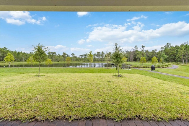 view of yard with a water view