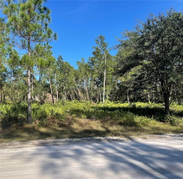 224 Plumosa Dr, Georgetown FL, 32139 land for sale