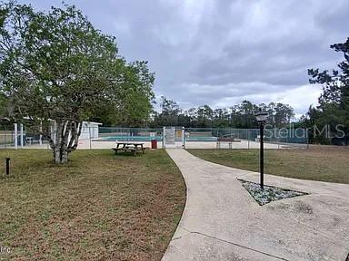 224 Plumosa Dr, Georgetown, FL 32139 - photo 6