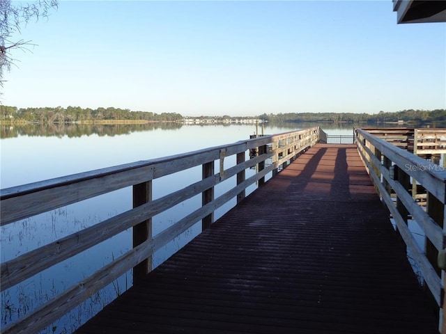 dock area featuring a water view