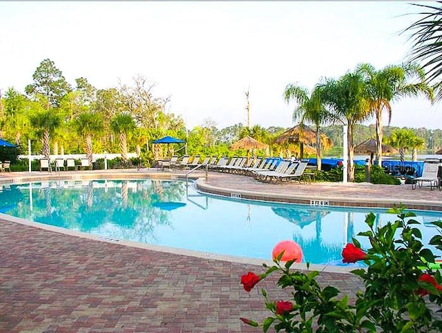 view of swimming pool featuring a patio area