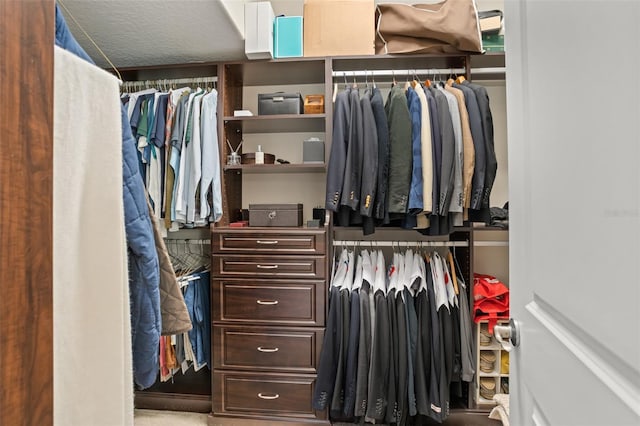 view of spacious closet