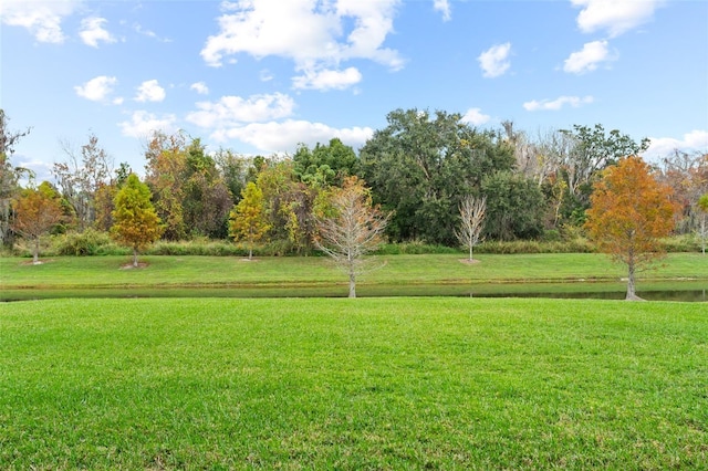 14372 Sunbridge Cir, Winter Garden, FL 34787 - surrounding community with a lawn