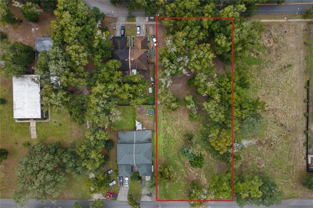 Sand Ave, Apopka, FL 32703 - photo 5