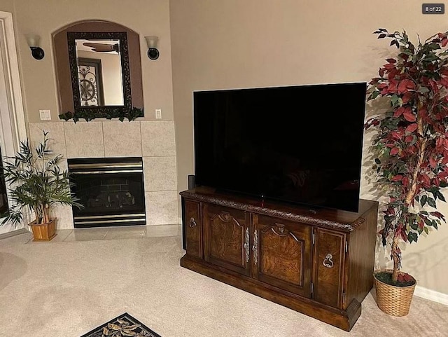 living area with a fireplace