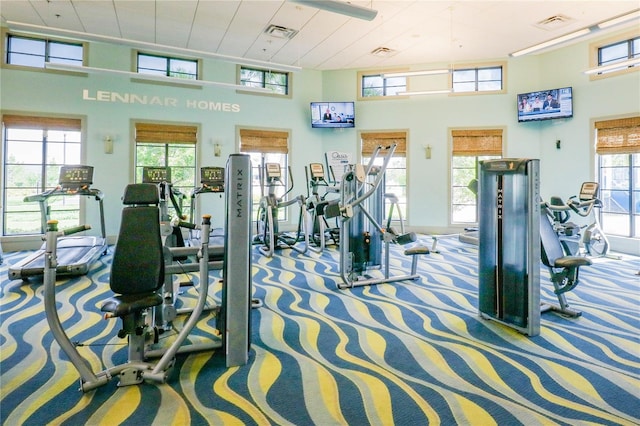 gym with a high ceiling, carpet, and a healthy amount of sunlight