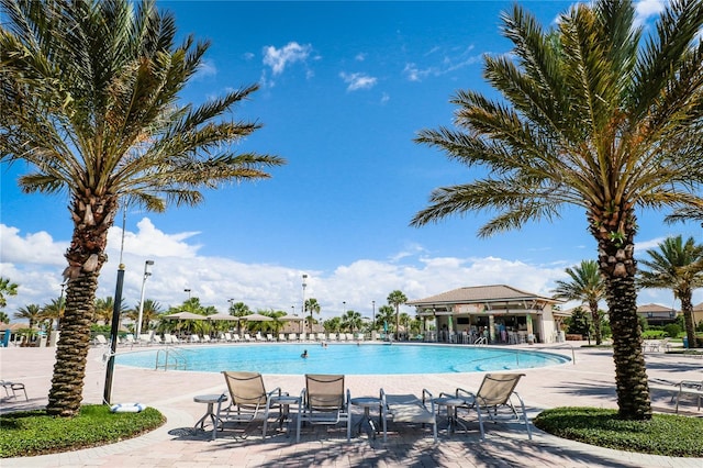 view of pool featuring a patio area