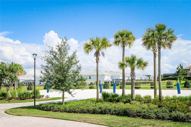 8911 Stinger Dr, Champions Gate, FL 33896 - photo 50