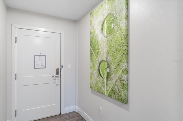 14501 Grove Resort Ave Unit 2410, Winter Garden, FL 34787 - photo 16