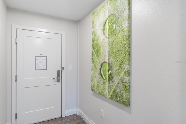 entryway with dark wood-type flooring