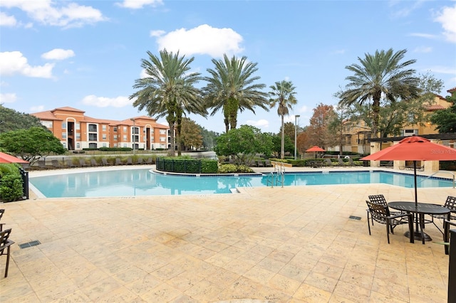 view of pool with a patio area