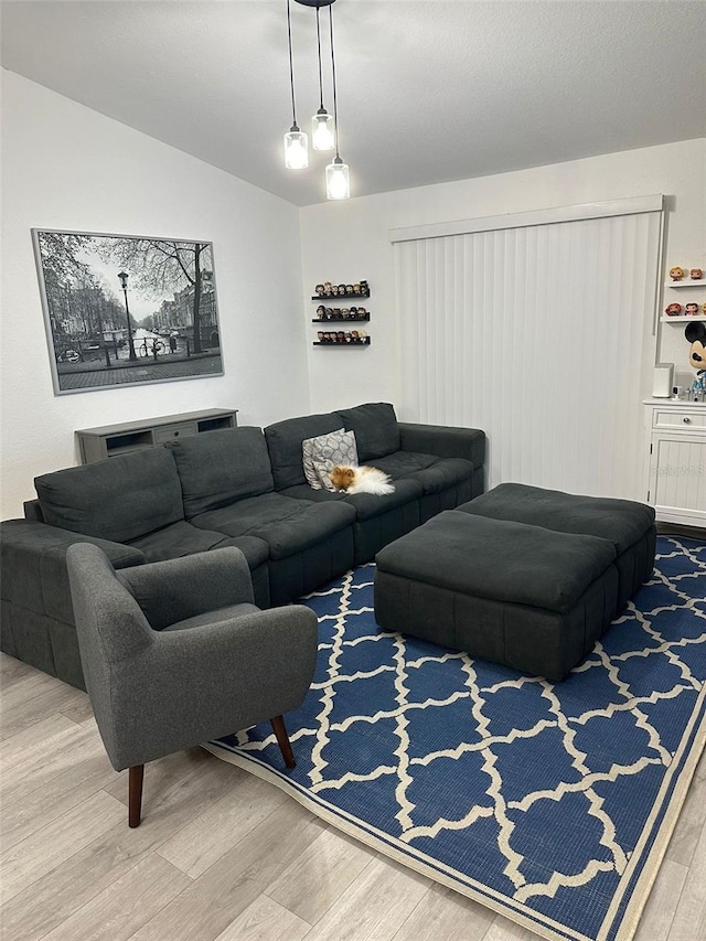 living room featuring hardwood / wood-style flooring and vaulted ceiling