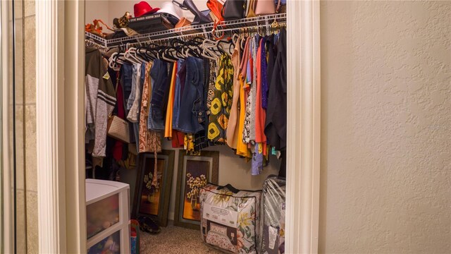 view of walk in closet