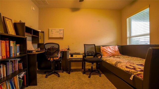 bedroom with carpet floors