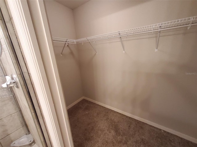 spacious closet with carpet flooring