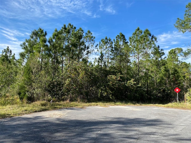 Cartwright Ct, Orlando FL, 32833 land for sale