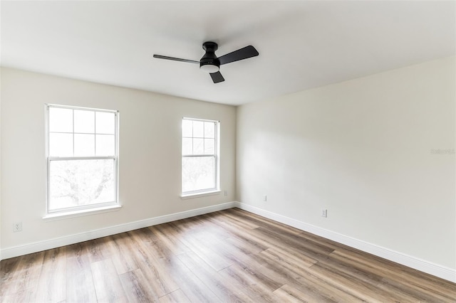 empty room with ceiling fan, plenty of natural light, and light hardwood / wood-style flooring