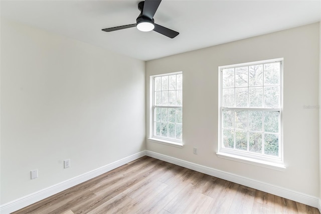 empty room with a wealth of natural light, light hardwood / wood-style flooring, and ceiling fan