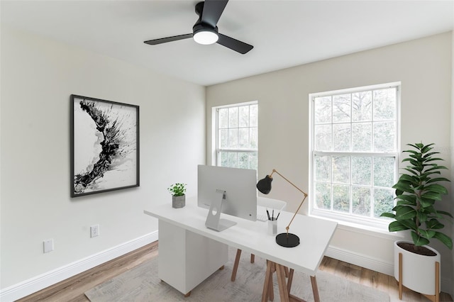 office featuring a wealth of natural light, ceiling fan, and light wood-type flooring