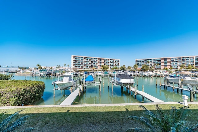 dock area with a water view